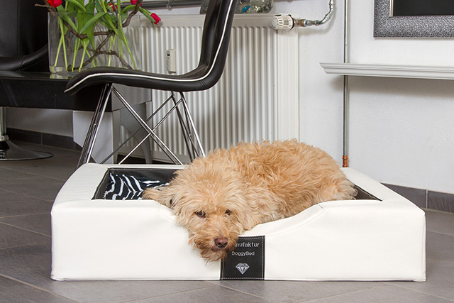 DoggyBed GEL Compact Style