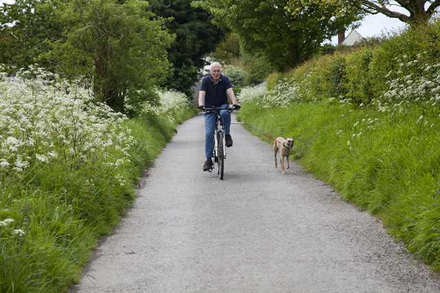Die Fahrgeschwindigkeit sollte der Laufgeschwindigkeit des Hundes angepasst sein. (Bildquelle: ERGO Die Fahrgeschwindigkeit sollte der Laufgeschwindigkeit des Hundes angepasst sein. (Bildquelle: ERGO