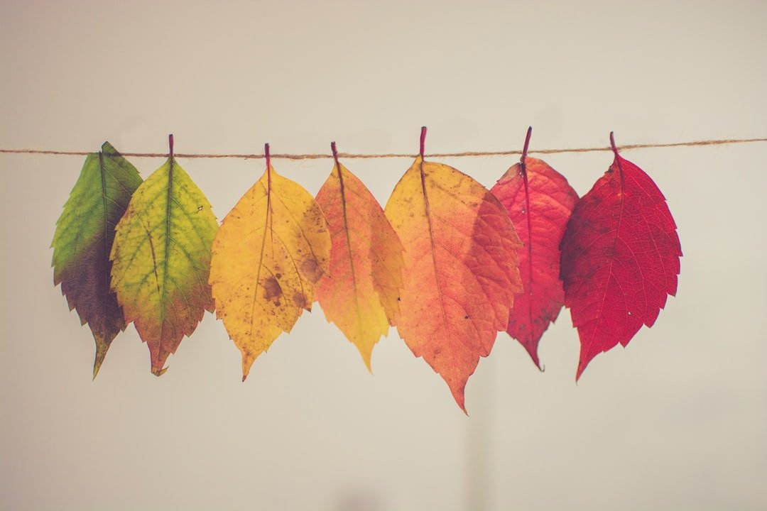 Logodesign und Farbgestaltung: 7 Farben und deren Effekte Logodesign und Farbgestaltung: 7 Farben und deren Effekte