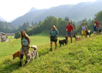 Hundeausflug Hundeausflug