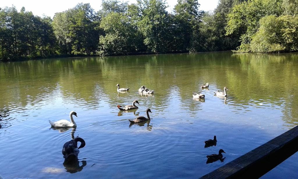 Fischteiche Paderborn an der Talle