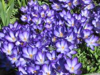 Hotel am Markt zu Ostern - Frühlingserwachen im sächsischen Erzgebirge, Arrangements zu Ostern Hotel am Markt zu Ostern - Frühlingserwachen im sächsischen Erzgebirge, Arrangements zu Ostern