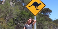 schueleraustausch, schueleraustausch usa, schueleraustausch australien, schueleraustausch england, h