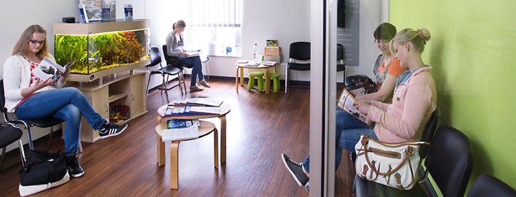 Das neue Disease Management Programm für den Kampf gegen Osteoporose. Das neue Disease Management Programm für den Kampf gegen Osteoporose.
