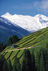 Gletscherblick zum Olperer (Tux-Finkenberg)
