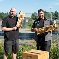 Tobias Wellbrock und Houssam Remmo (v.l.) von terminic zeigen stolz die Honigwaben in die Kamera