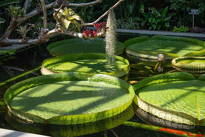 Villa Taranto Botanische Gärten, Lago Maggiore