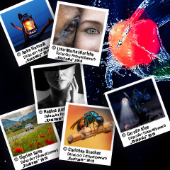 Datacolor Fotowettbewerb 2020: #BringingCOLORIntoYourLife