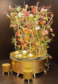 Foto: Dutch Creations Foto: Dutch Creations