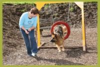 Für herrliche Ferien mit Ihrem Hund