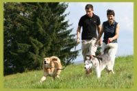 Das Hotel mit Hund Das Hotel mit Hund
