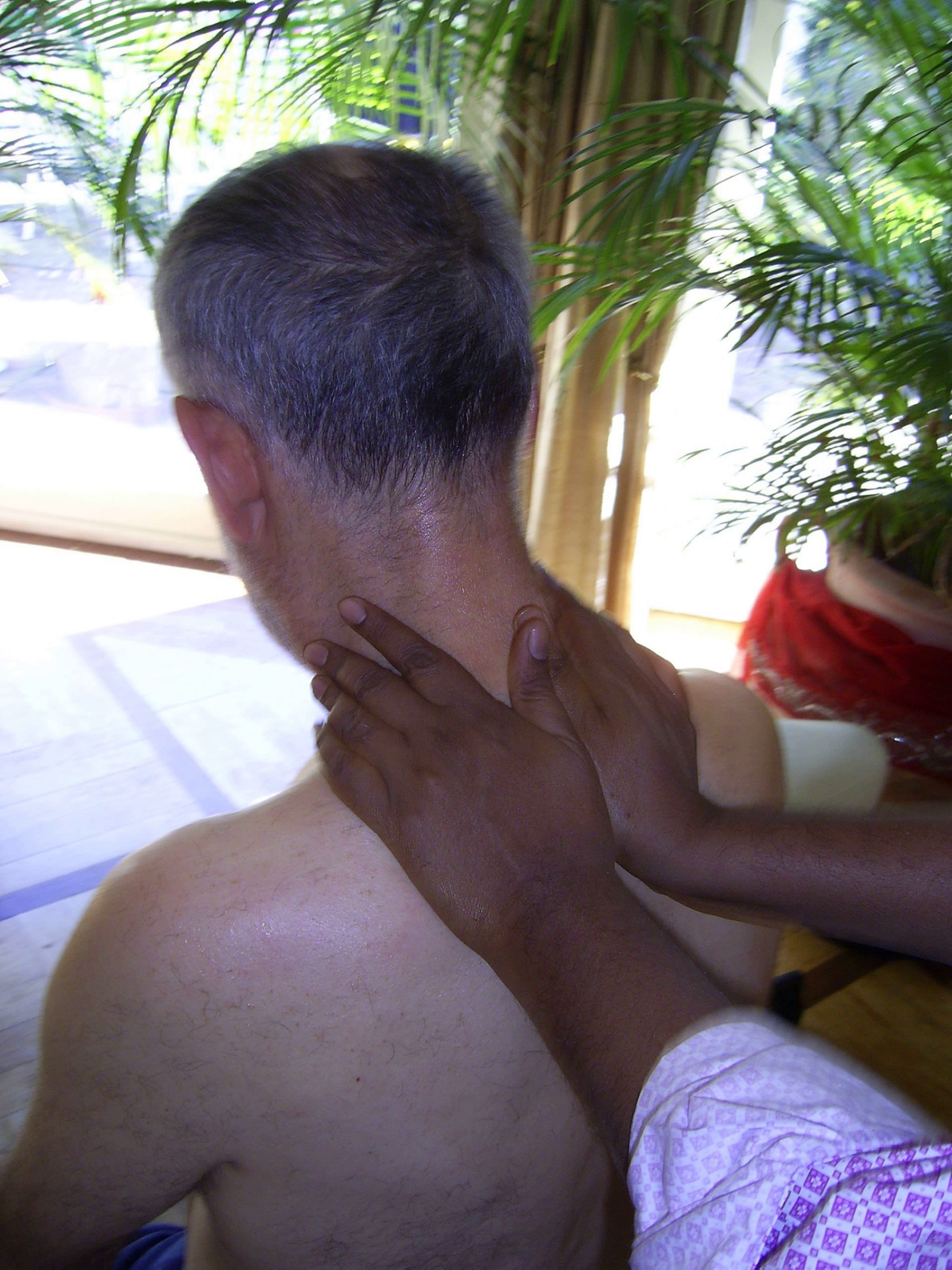 Ayurveda-Marmapunktmassage Ayurveda-Marmapunktmassage