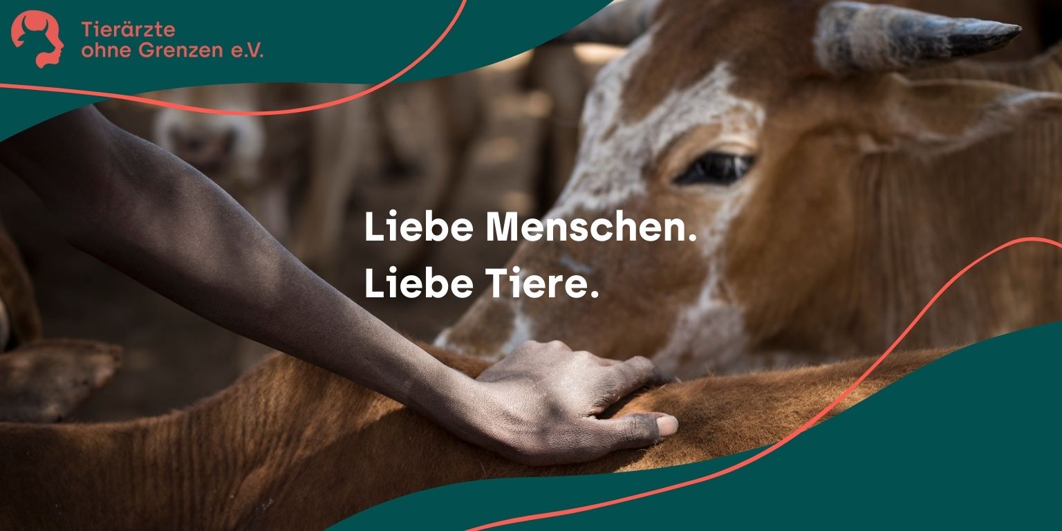 Zeitgemäß, Emotional, Selbstbewusst: Das neue Corporate Design von Tierärzte ohne Grenzen e. V.