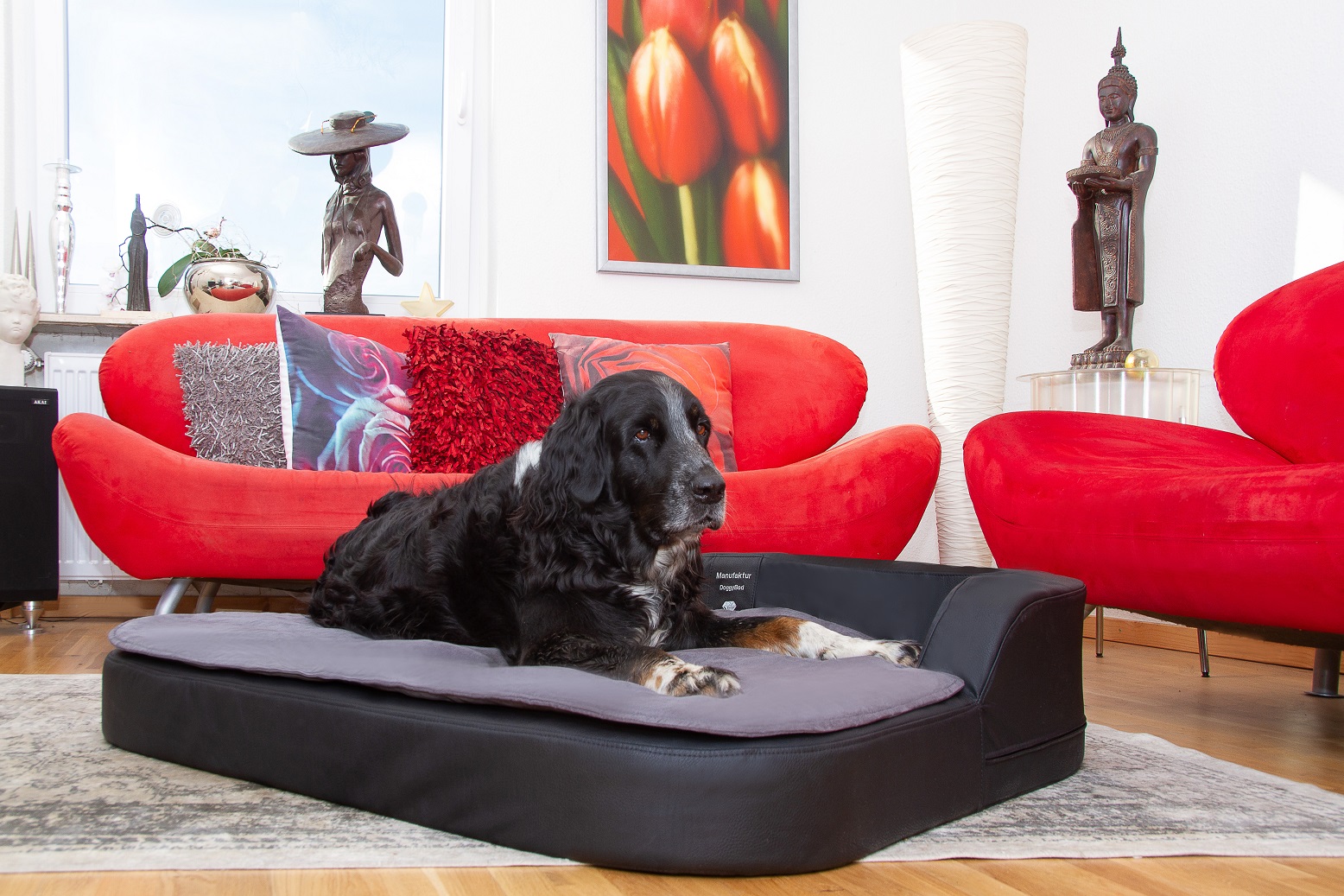 Große Hundekissen Medical Style Plus