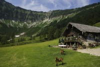 Viele Wege auf die schönen Fuschler Hausberge starten direkt bei Ebner’s Waldhof am See. 