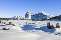 Bezaubernde Winterlandschaft (c) Harald Wisthaler (Hotel Steger-Dellai)