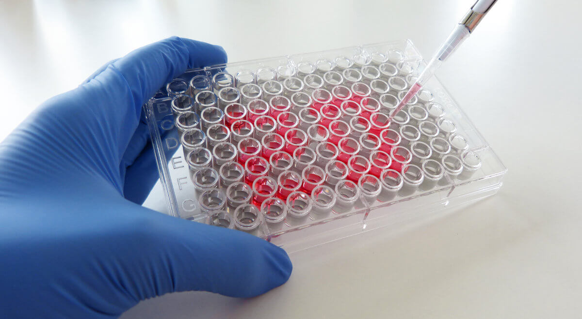 Konstanzer Biotechnologie-Unternehmen trenzyme feiert 20-jähriges Bestehen. Copyright trenzyme GmbH Konstanzer Biotechnologie-Unternehmen trenzyme feiert 20-jähriges Bestehen. Copyright trenzyme GmbH