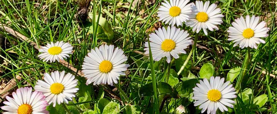 Mit seinem NICHT-NUR-BUCH leitet Kai-Uwe Harz zum aktiven Reflektieren an.