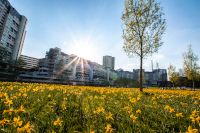 Birger Dehne, Hannover - Die Wohnungswirtschaft bleibt stark in der Krise.