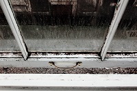 Fünf Tipps gegen Schimmel, Feuchtigkeit und muffigen Geruch im Keller