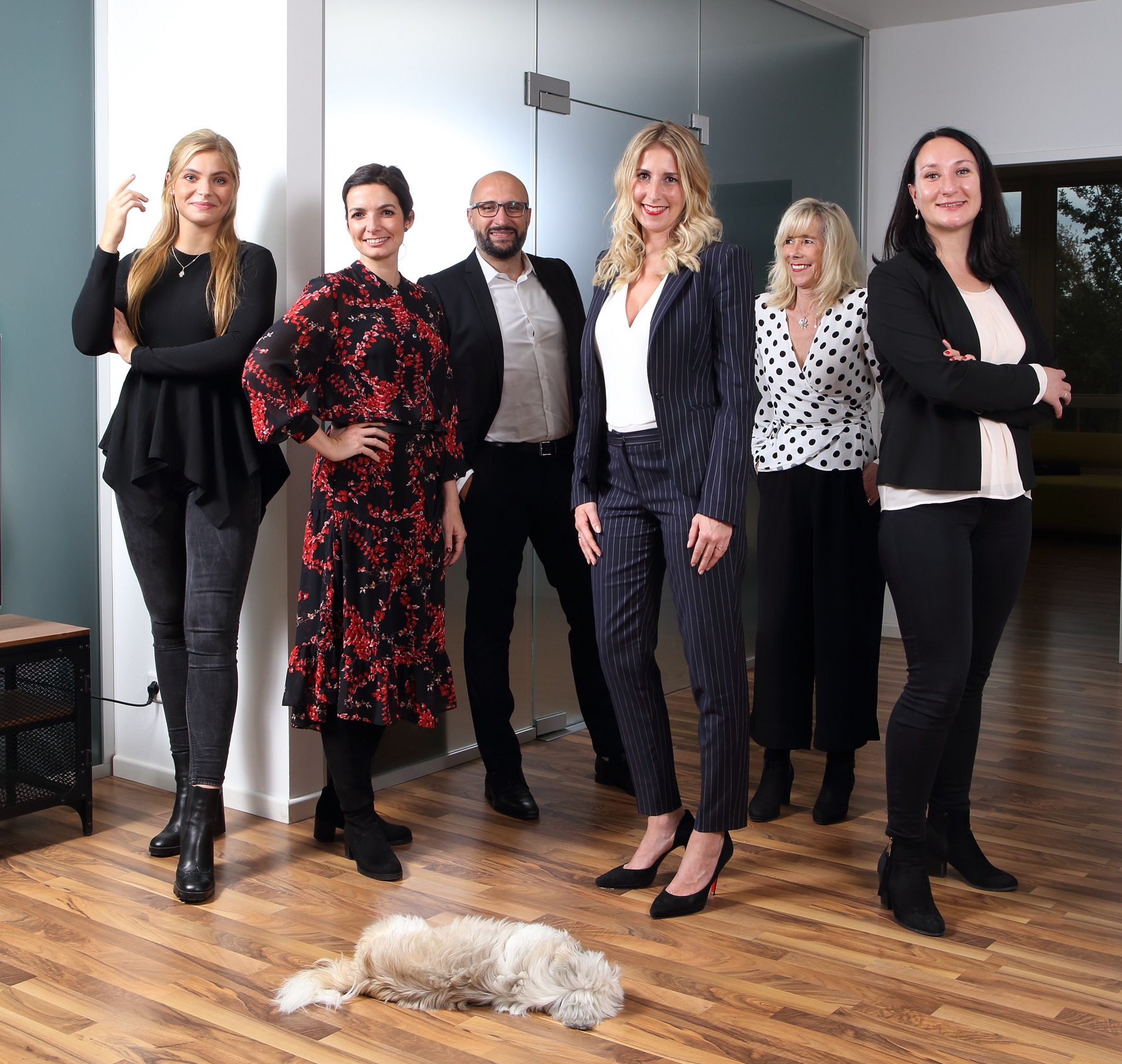 Das Pro-Vivet Management-Team Das Pro-Vivet Management-Team