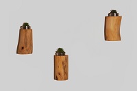 Wandhalter mit Sukkulente Wandhalter mit Sukkulente