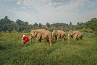© Anantara Golden Triangle © Anantara Golden Triangle