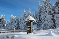 Verschneiter Böhmerwald (INNs HOLZ)
