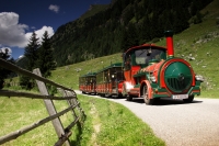 Mit der Tschu-Tschu-Bahn ins Naturschutzgebiet