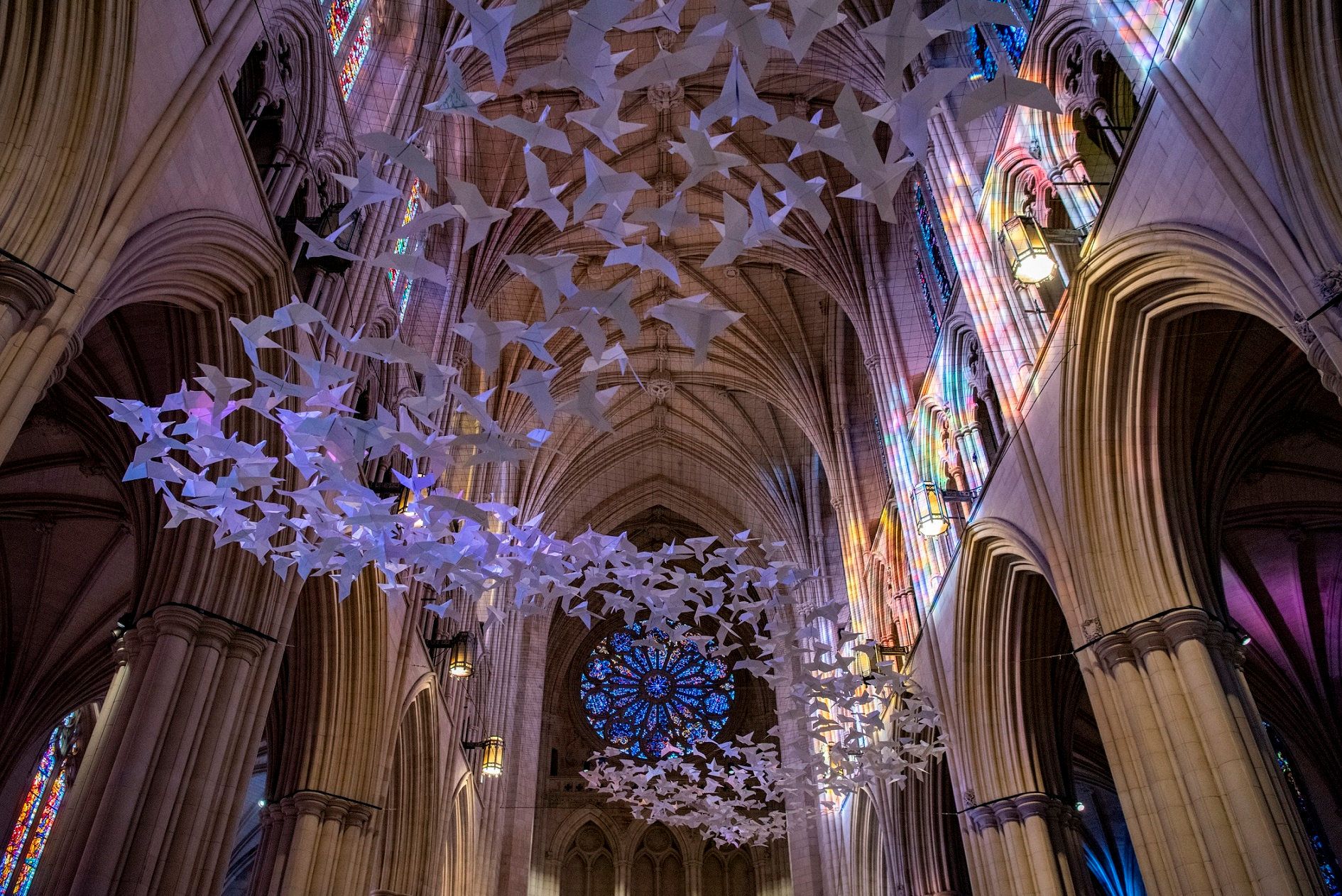 Mehr als 2000 weiße Papiertauben schweben in der National Cathedral in Washington, DC. (Bildquelle: 