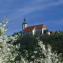 Bogenberg Kirche