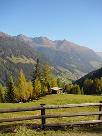 Blick ins Tal im Sommer (Alpengasthof Zollwirt)