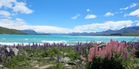 Schüleraustausch in Neuseeland: Traumhafte Landschaft (Foto: Stiftung Völkerverständigung)