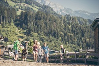 Alpaka-Wanderung (alpina zillertal)