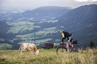 Biken zwischen Bergwiesen in Abtenau und Umgebung (c) www.kernmayer.com (Hotel Gutjahr) Biken zwischen Bergwiesen in Abtenau und Umgebung (c) www.kernmayer.com (Hotel Gutjahr)