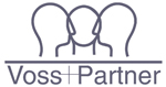 Voss+Partner DiSG® Voss+Partner DiSG®