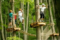 Fünf verschiedene Parcours bietet der neue Hornpark Kletterwald in St. Johann in Tirol. 