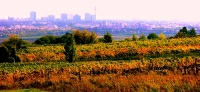 Blick von Jedlersdorf auf Wien