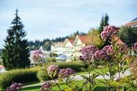 So schön ist der Frühling im Angerhof! (Angerhof)
