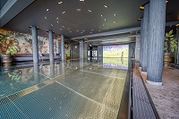 Public Viewing im Infinitypool (Angerhof)