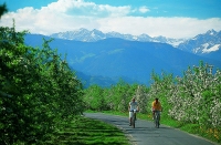 Der neue Höhenweg vereint verschiedene Etappen zu einem Erlebnismarsch durch den Vinschgau. Der neue Höhenweg vereint verschiedene Etappen zu einem Erlebnismarsch durch den Vinschgau.