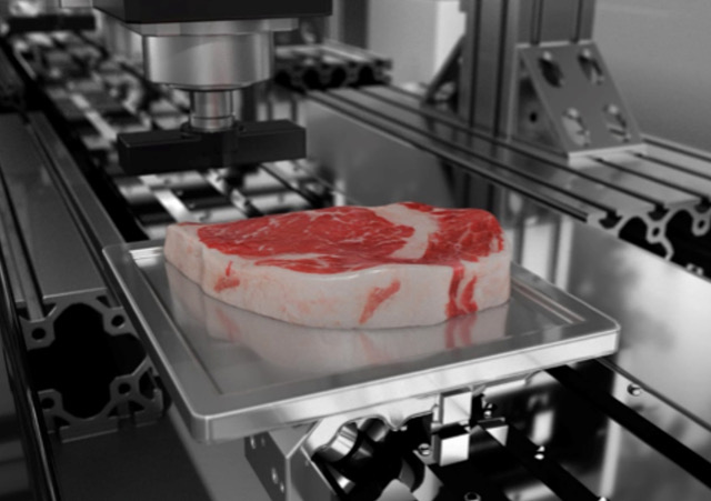 Nachhaltigkeit – Winner 3D Pioneers Challenge Technology: Process Meatech Israel.