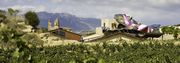 Hotel Marques de Riscal in der Rioja Alavesa Hotel Marques de Riscal in der Rioja Alavesa