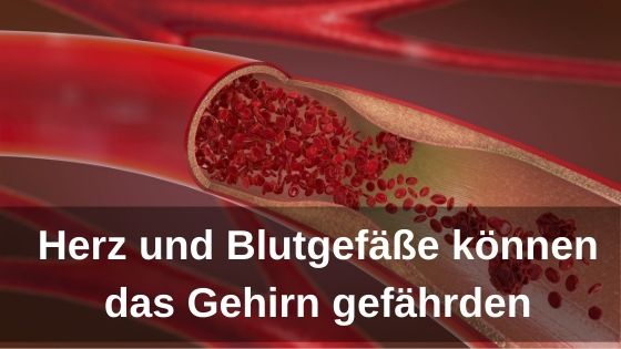 Bioresonanz-News zu Herz und Blutgefäße