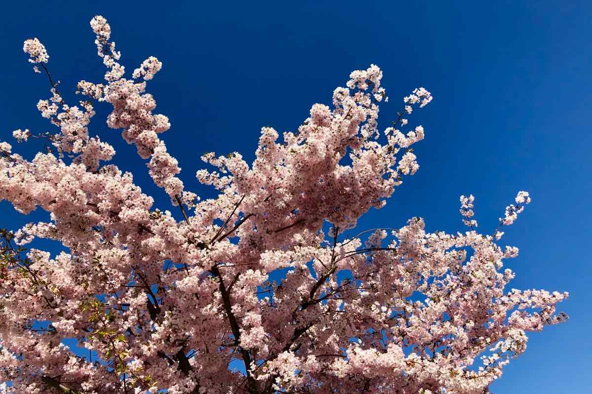 Zahlreiche Unternehmen setzen mittlerweile auf Freiberufler.