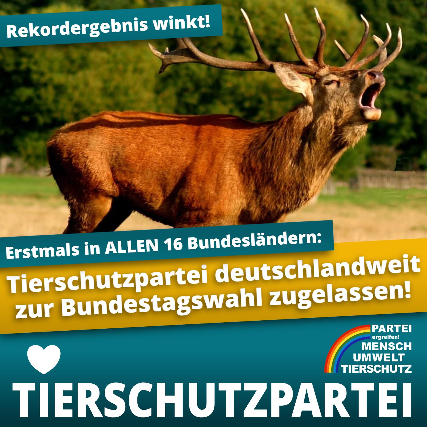 Die Tierschutzpartei startet durch und will am 26. September die 5%-Hürdeüberspringen. Die Tierschutzpartei startet durch und will am 26. September die 5%-Hürdeüberspringen.