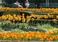 Foto: Kurverwaltung Bad Füssing