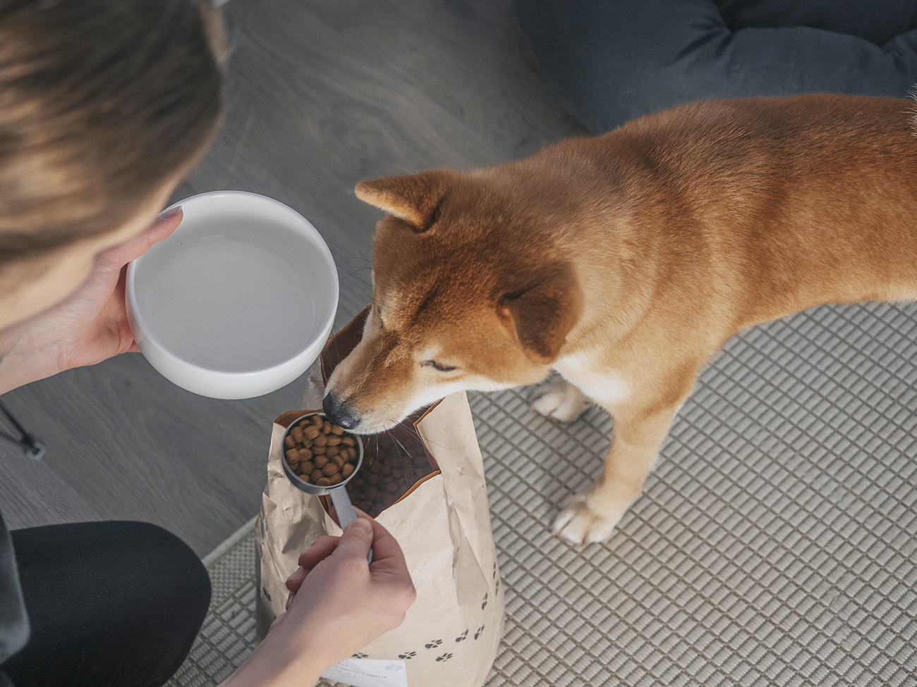 In Geschmackstests erhielt das Hunde-Insektenfutter von Alvar Pet durchweg gute Noten. In Geschmackstests erhielt das Hunde-Insektenfutter von Alvar Pet durchweg gute Noten.