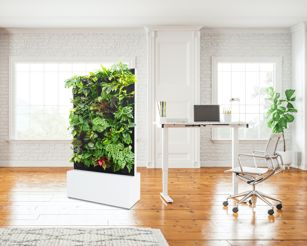 Wohltuende Natur mitten im Büro: Mobile Pflanzenwände wirken feuchtigkeitsregulierend. Foto: Ruof