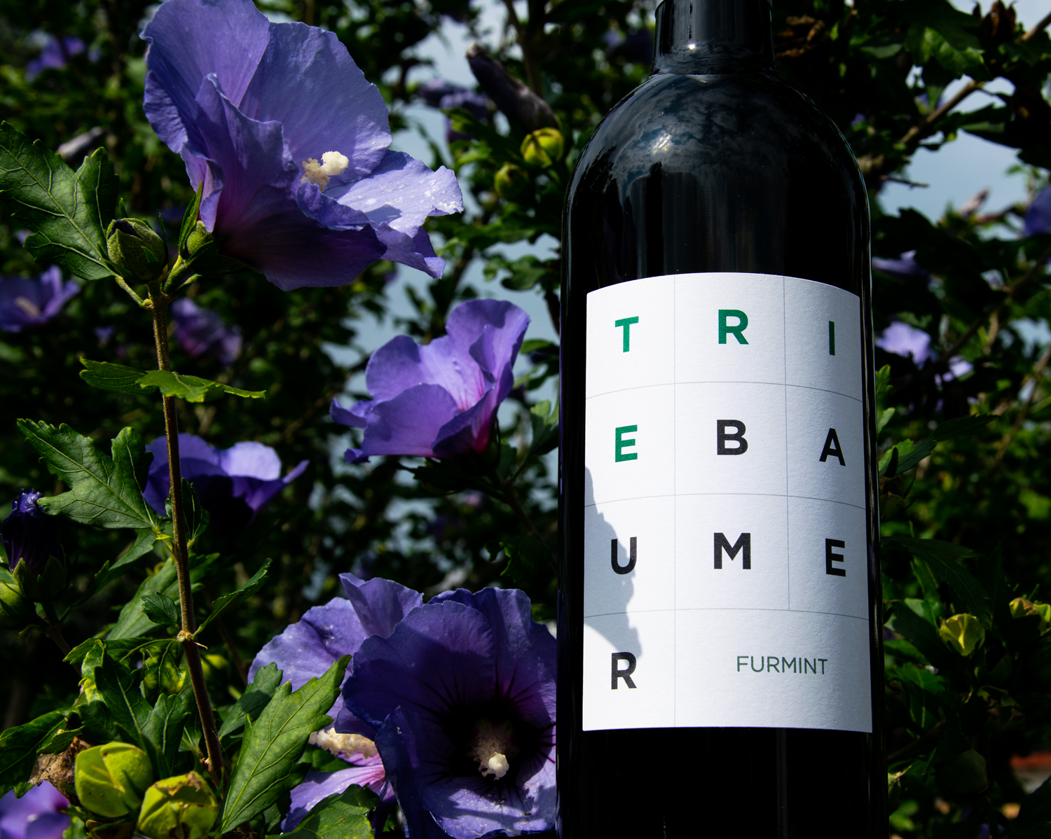 Weingut Triebaumer Furmint jetzt online bei WEiNDOTCOM
